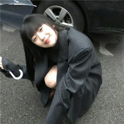 狗狗史酷比