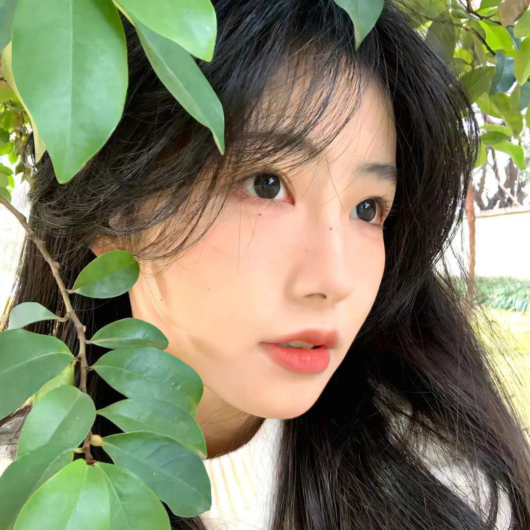 飞女芝芝